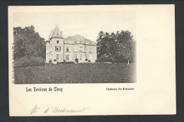 CPA - Les Environs De Ciney - Château De BURESSE - Nels  Série 54  N° 3  // - Hamois