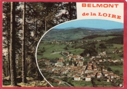 CPM 42 BELMONT DE LA LOIRE (  Vue Aérienne - Belmont De La Loire