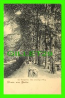 TIERGARTEN - GRUSS AUS BERLIN - EIN SCHATTIGER WEG, 1900 - ANIMATED - UNDIVIDED BACK - MINT CONDITION - Tiergarten