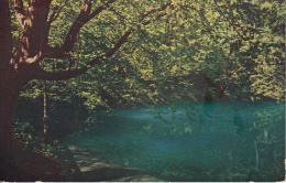 AK Blaubeuren - Blautopf - 1943 (21209) - Blaubeuren