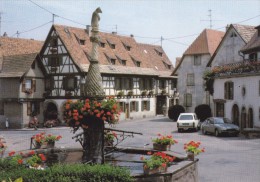 Carte Postale, Maison Robert Schaeffer, Propriétaire Viticulteur, Dambach La Ville - Dambach-la-ville