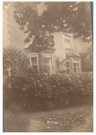 (200 Del) Very Old Postcard - Carte Ancienne - UK - House & Tree (1910) - Trees