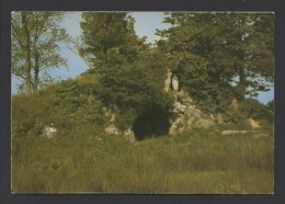 DF / 44 LOIRE ATLANTIQUE / LEGÉ / LA GROTTE DE LOURDES - Legé