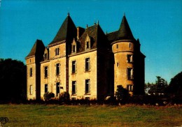 85-LA MOTHE ACHARD..LE CHATEAU...CPM - La Mothe Achard