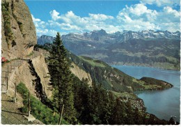 CPM SUISSE SCHWYTZ DIVERS - Rigi - Vue Sur Les Alpes Du Chemin De La Montagne - Schwytz