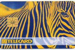 Zèbre Zebra  Animal Jungle Télécarte Tchèque Phonecard  Karte J52 - Czech Republic