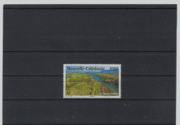 Nouvelle Calédonie  2008 YT 1058 Le Fleuve Diahot Oblitéré - Used Stamps