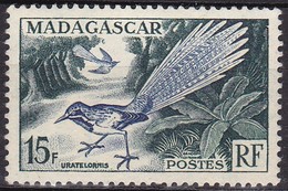 Timbre-poste Neuf** - Faune Brachyptérolle à Longue Queue (Uratelornis Chimaera) - N° 324 (Yvert) - Madagascar 1954 - Neufs