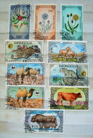 Mongolia 1985 - 1986 Animals Yack Cow Camels Leopard Flowers - Mongolia