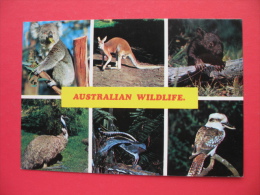 AUSTRALIAN WILDLIFE:Koala,Red Kangaroo,Emu,Lyrebird,Kookaburra;SANDBAGGERS INT.EXCHANGE CLUB - Aborigènes