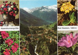 Alpenblumengrüsse Aus Bad Gastein 1990 Mehrbildkarte - Bad Gastein