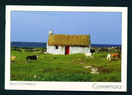 IRELAND  -  Connemara  Ballyconneely  Used Postcard As Scans - Galway