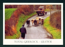 NORTHERN IRELAND  -  Rural Scene  Total Gridlock  Used Postcard As Scans - Other & Unclassified