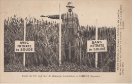 ACHEUX SOMME  80 Agriculture Nitrate De Soude Blé - Acheux En Amienois