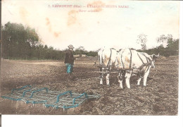 LIANCOURT   ETS BAJAC   Herse Articulée  Attelage De Boeufs    + QU ETAT !! - Wagengespanne