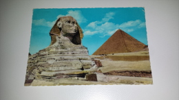 C-45973 THE GREAT SPHINX OF GIZA AND KHEOPS PYRAMID - Guiza