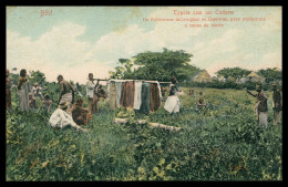 AFRICA - ANGOLA - BIHÉ - COSTUMES - Typos Com Um Cadaver - Feiticeiros...( Ed. Eduardo Osorio Nº 490)  Carte Postale - Angola