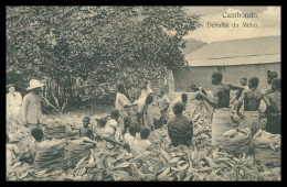 ANGOLA - CAMBONDO - COSTUMES - Debulha Do Milho( Ed. Ferreira Ribeiro & Osorio Nº 543)  Carte Postale - Angola