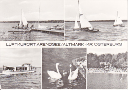 AK Luftkurort Arendsee - Altmark - Kr. Osterburg - Mehrbildkarte (21253) - Osterburg