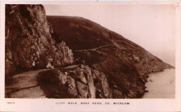 Cliff Walk. Bray Head Co Wicklow - Wicklow