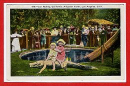 Amerique - ETATS UNIS -- LOS ANGELES -- Joy Ridind , California Alligator - Los Angeles