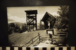 CPSM AUTRICHE, AUSTRIA,  Naturpark Ötscher-Tormäuer - Scheibbs