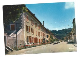 CPM - VIRIEU-sur-BOURBRE (38) La Maison De Repos. Au Fond Le Château - Virieu