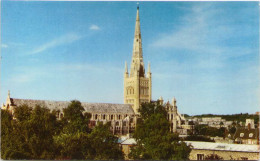 Norwich Cathedral - Norwich