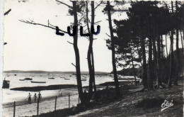 DEPT 33 : 2 Scans : Arès , La Plage Vers Arès - Arès