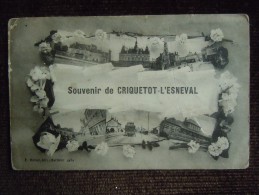 Souvenir De Criquetot- L ' Esneval En L ' état * - Criquetot L'Esneval