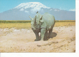 PK-CP Rhinozeronte, Ungebraucht, Siehe Bilder!*) - Rhinozeros