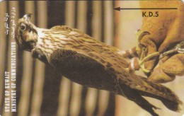 Kuwait, 30KWTA, 5 د.ك, Saker Falcon, Bird, 2 Scans. - Koweït