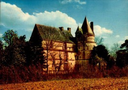 86-SCORBE-CLAIRVAUX..LE CHATEAU DU CHAMP DE FOIRE...CPM - Scorbe Clairvaux