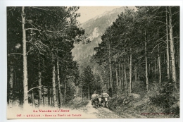 Quillan Dans La Forêt De Carach (attelage De Boeufs) - Axat