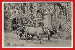 ASIE - INDES -- A COUNTRY Cart - Inde