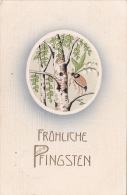 Fröhliche Pfingsten - Pentecoste