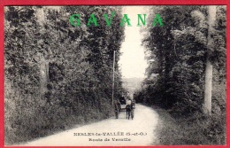 95 NESLES-la-VALLEE - Route De Vernille - Nesles-la-Vallée