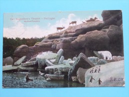 Carl Hagenbeck's TIERPARK - Stellingen ( Kumm N° 103 ) Anno 1908 ( Zie Foto´s Voor Detail ) ! - Stellingen