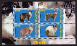 BURUNDI 2011 - Chats 5 - BF 4 Val Neuf // Mnh - Neufs