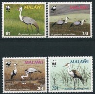 MALAWI Oiseaux, WWF, Yvert 489/92** Neuf Sans Charniere. MNH - Andere & Zonder Classificatie