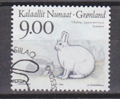 Greenland 1994 Polar Fauna  1v Used (27062D) - Gebraucht