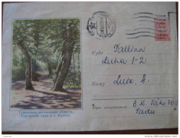 1958 Used In 1959 Arbol Tree Sobre Entero Postal Cover Stationery Flora RUSSIA USSR CCCP - 1950-59