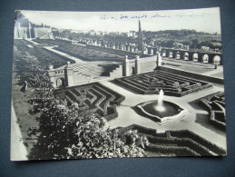 Italy: ROMA - VILLA PONTIFICIA DI CASTEL GANDOLFO Giardini Del Belvedere - 1950s Posted - Parchi & Giardini