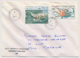 TAAF - Enveloppe - Dumont Durville T Adélie - 1-1-1989 - Storia Postale