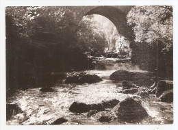 25 - Doubs - Paysages Du Haut Pont  Carte Photo Stainacre Cachet  Pontarlier 1956 - Pontarlier