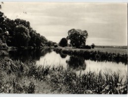 Grünheide - Hangelsberg - Partie An Der Spree - Grünheide