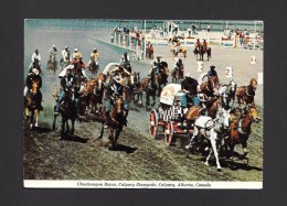 CALGARY - ALBERTA - CALGARY EXHIBITION AND STAMPEDE -  WORLD FAMOUS CHUCKWAGON RACES - Calgary