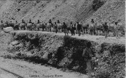 Carrara (Massa E Carrara) - Trasporto Marmi, Cartolina Doppia - Carrara