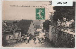 21- Côte-D´or _ Montigny -sur - Vingeanne _ Rue De La Mairie Et Les Vaches (canton St Apolinaire 380ha - Sonstige & Ohne Zuordnung