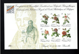 359732908 1990 POSTFRIS MINT NEVER HINGED  OCB BL67 BL 67  BELGICA 90 RUGNUMMER 431 ROZEN ROSES FLORA - 1981-2000